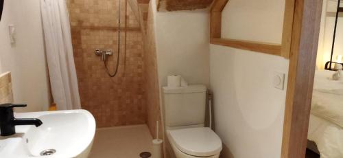 a bathroom with a toilet and a sink and a shower at Les studettes du Beffroi in Cucuron