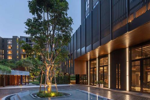 a tree in a courtyard in front of a building at The Base Central Phuket-C4YW in Phuket