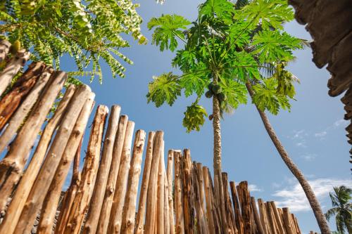 a wooden fence with palm trees in the background at Zanzibari holiday home by Liv Zanzibar in Paje