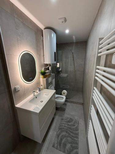 une salle de bain avec un lavabo blanc et des toilettes dans l'établissement Cosy & Dark Appartements, à Mundolsheim