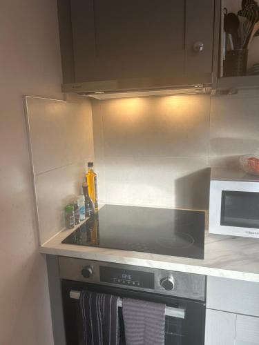 a kitchen with a stove and a microwave at Buttermilk Lodge in Clifden