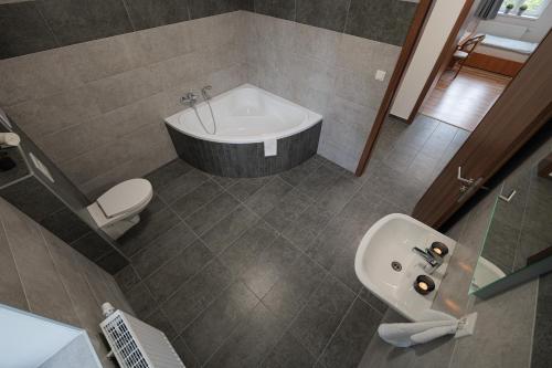 a bathroom with a tub and a toilet and a sink at TVM Ostrava 1 in Ostrava