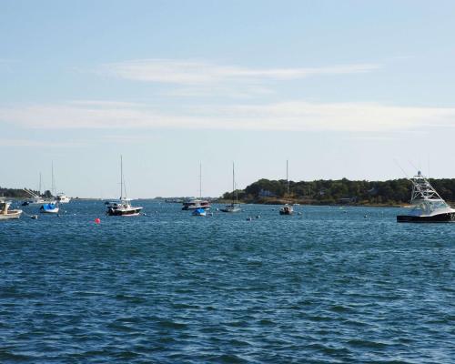 a group of boats in a large body of water at Edgar Hotel Martha's Vineyard, an Ascend Collection Hotel in Edgartown