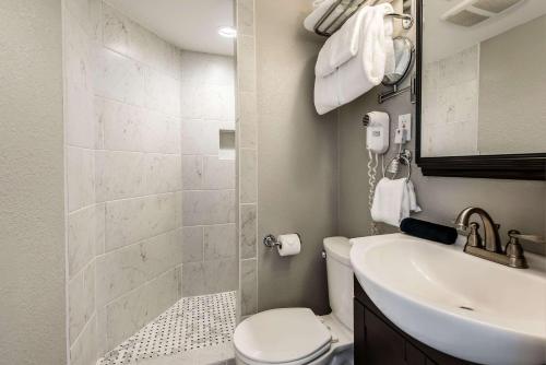 a bathroom with a toilet and a sink at Hotel Bothwell Sedalia Central District, an Ascend Collection Hotel in Sedalia