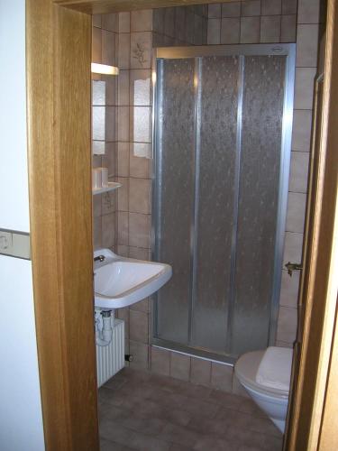 a bathroom with a shower and a sink and a toilet at Appartement Alpenhof Wildschönau in Niederau