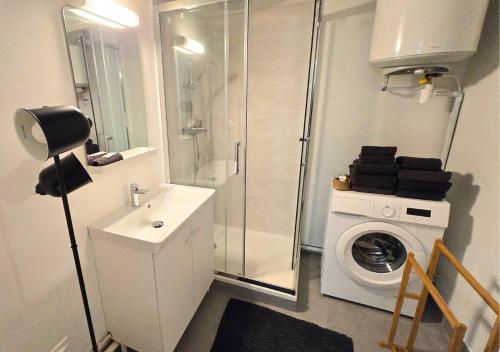 une salle de bain avec une machine à laver et un lave-linge dans l'établissement L'Expérience Tourangelle #3, à Tours