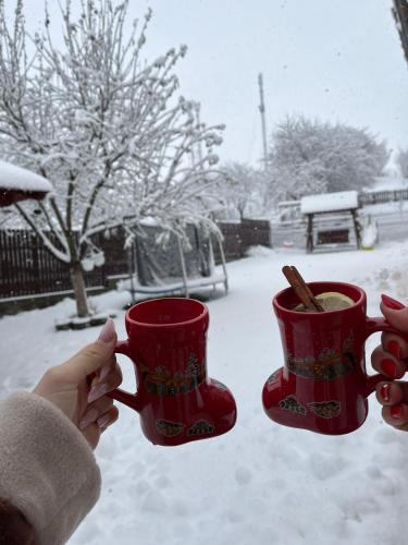 a person holding two red cups in the snow at Cabana Rustica Georgeta in Zărneşti