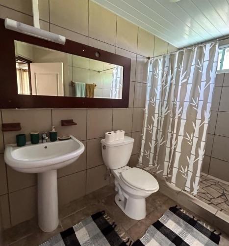 a bathroom with a toilet and a sink and a mirror at Chez Tamatuamai in Avatoru