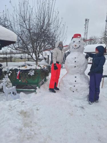 two people are standing next to a snowman at Cabana Rustica Georgeta in Zărneşti