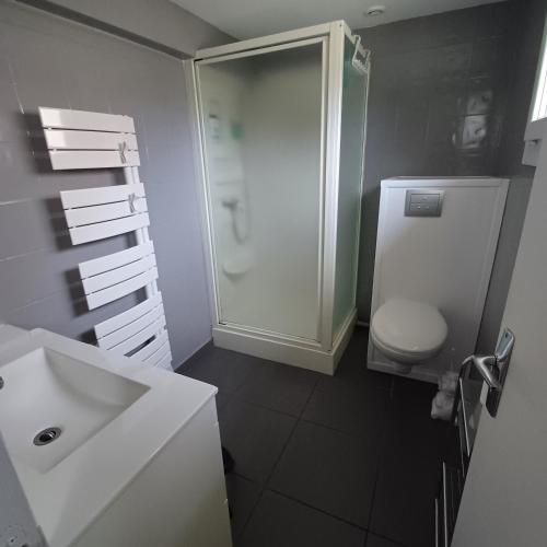 une salle de bain avec une douche, des toilettes et un lavabo dans l'établissement Gîte DA GOUSKET ROZ, à Trébeurden