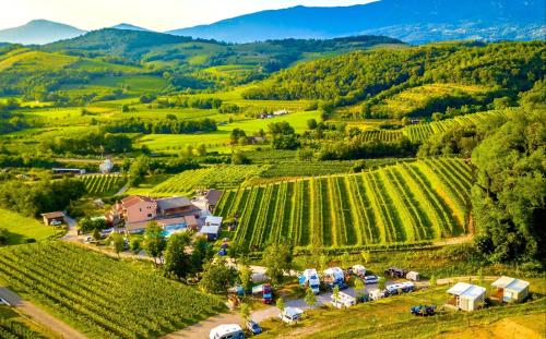 Saxida Wine & Camping Resort - Campsite