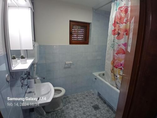 a bathroom with a toilet and a sink and a shower at Sumska vila Zorica in Gornji Milanovac