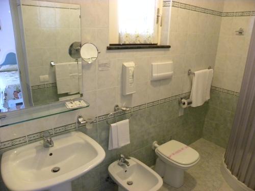 a bathroom with a sink and a toilet and a mirror at Hotel Ristorante Borgo La Tana in Maratea