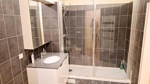 une salle de bain avec douche et lavabo dans l'établissement Appart cosy tout confort Metro 11 avec parking, à Paris