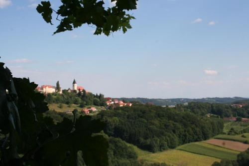 a town on top of a hill with trees at Rebenchalet in Sankt Anna am Aigen