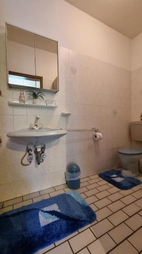 a bathroom with a sink and a toilet and blue rugs at Ferienwohnung Hoppenstedt in Winsen