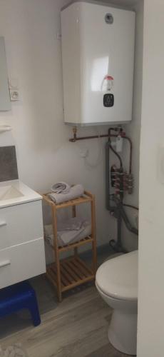 La salle de bains est pourvue de toilettes, d'un lavabo et d'une armoire. dans l'établissement Studio plein de charme, à Les Sables-dʼOlonne