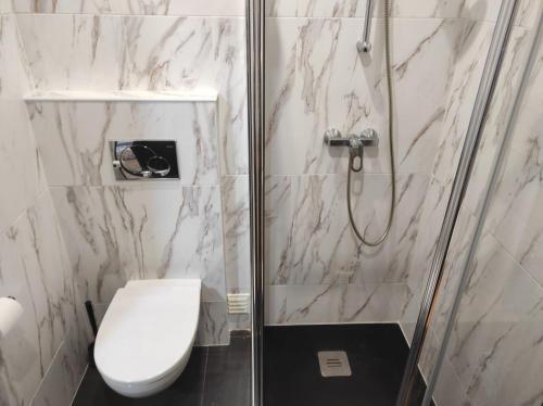 a bathroom with a white toilet and a shower at Casa da Mina in Mina do Bugalho