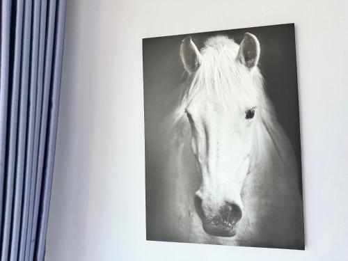 a black and white picture of a white horse at บ้านชวนชมเกาะล้าน in Ko Sak