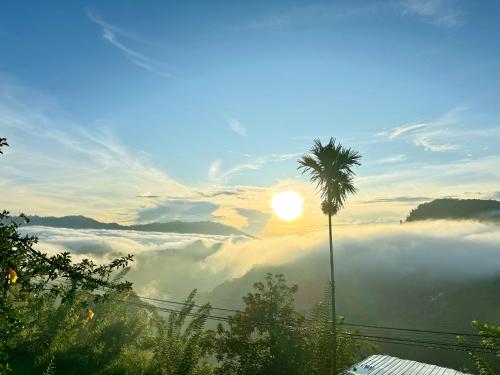 a palm tree sitting on top of a fog covered valley at Will Guest Homestay in Ella