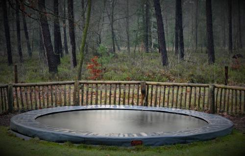 Fotografie z fotogalerie ubytování Ons plekje in het bos v destinaci Beekbergen