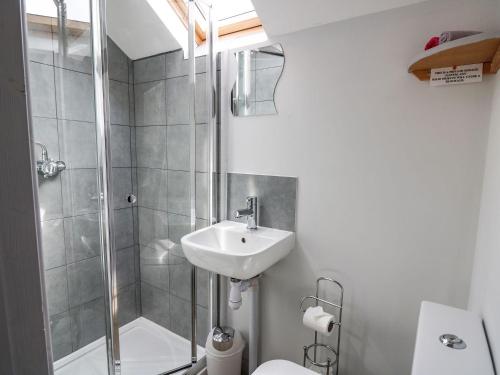 a bathroom with a shower and a sink and a toilet at Ty Hir at Blaenbrynich Farm in Brecon