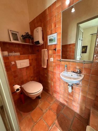 a bathroom with a toilet and a sink and a mirror at Les 3 Terrasses in Roussillon