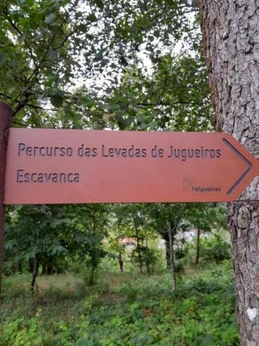 a sign on a tree that reads paris des leeks de jeuvers at Dalpendre - Turismo em espaço rural in Felgueiras