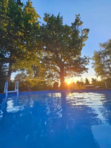 une piscine avec un arbre en arrière-plan dans l'établissement Yurt at Le Ranch Camping et Glamping, à Madranges