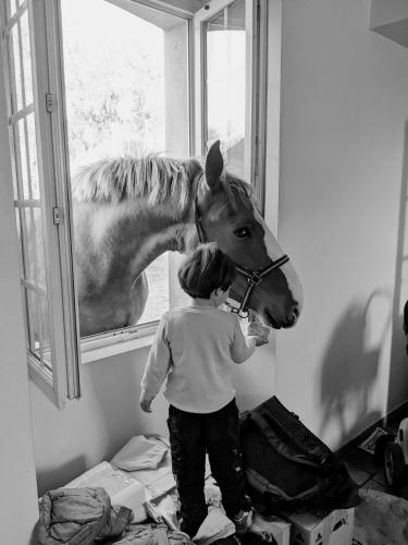 a young child looking out a window at a horse at Chambre Du Coq à la Ferme de Franqueville in Sainte-Marie-du-Mont