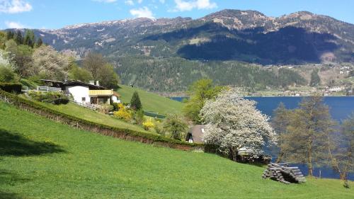 a house on a hill next to a lake at Seehaus Weiss in Rothenthurn