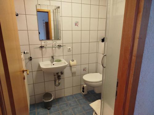 a bathroom with a toilet and a sink at Pension Erika in Mehlmeisel