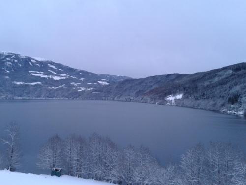a view of a lake with snow covered trees and mountains at Seehaus Weiss in Rothenthurn