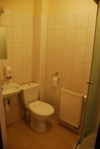 a bathroom with a toilet and a sink at Noclegi Kochlice in Kochlice