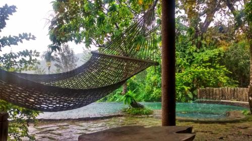 a hammock in a garden with a swimming pool at Annapara Homestay in Vythiri - Wayanad in Vythiri