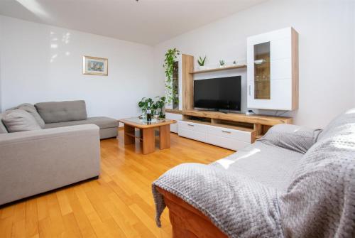 Apartment Zdravko
