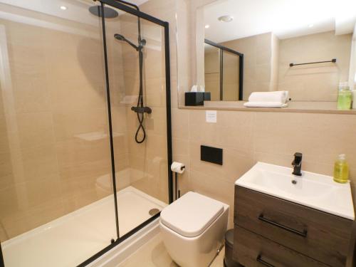 a bathroom with a shower and a toilet and a sink at 28 Rock Mill Holiday Apartments in Eyam
