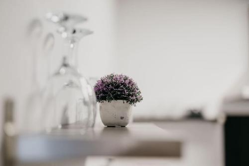 a potted plant sitting on top of a counter at Loft lumineux ! wifi à 20min de Rennes in Bain-de-Bretagne