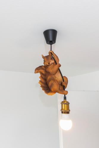 a squirrel hanging from a light fixture on a wall at HEIMATEL - Bodensee Residenz Allgäu in Scheidegg