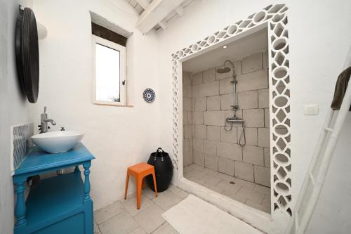 a bathroom with a shower with a sink and a mirror at La Maison D'amis Du Chateau in Pech-Luna