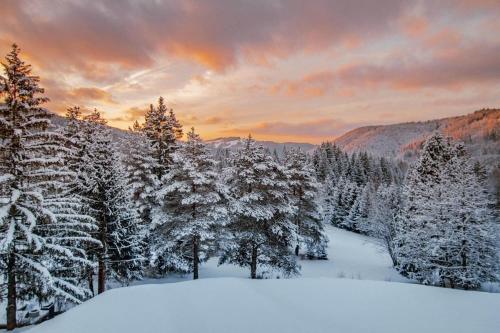 a group of trees covered in snow with a sunset at Hotel Partizán in Tale
