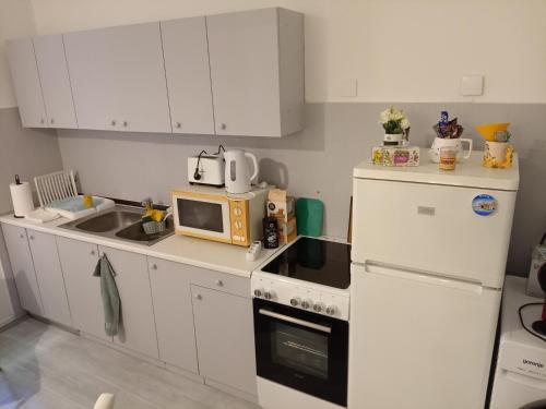 a kitchen with a microwave and a stove top oven at The Horse Monument Hostel in Belgrade