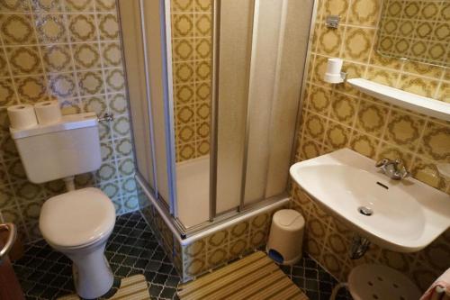a bathroom with a shower and a toilet and a sink at Pension & Fewos Fuchs in Mauth