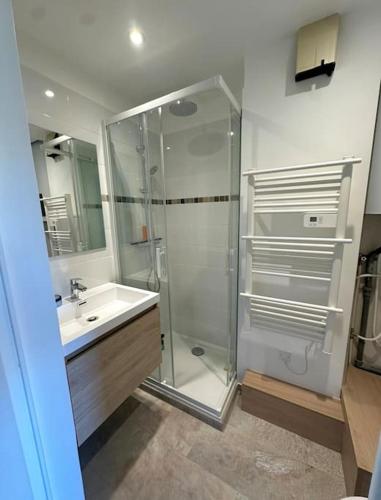 une salle de bain avec une douche en verre et un lavabo dans l'établissement PF Grand Studio lumineux, entièrement rénové 540 VALBERG, à Beuil