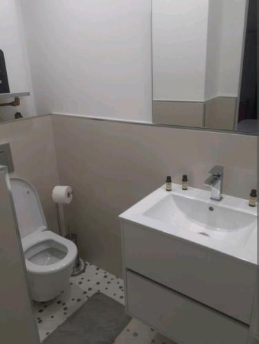 une salle de bain avec un lavabo, des toilettes et un miroir dans l'établissement Love Room Glamour, à Tremblay-en-France