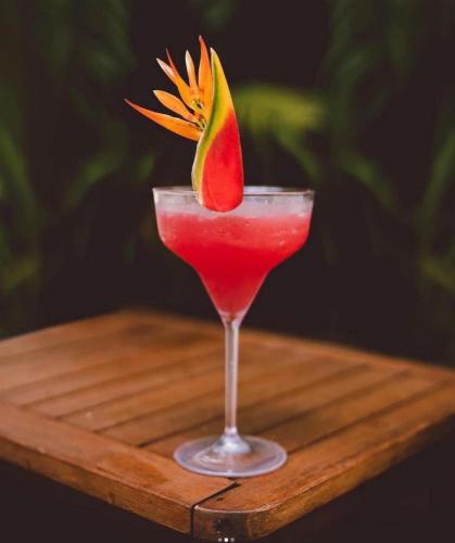 a drink in a glass with a piece of fruit in it at La Aldea De La Selva Lodge in Puerto Iguazú