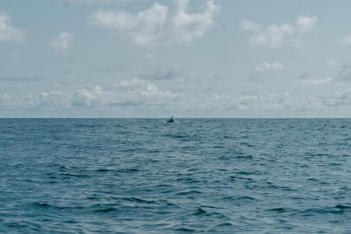 a boat in the middle of a large body of water at Poleo in Arusí
