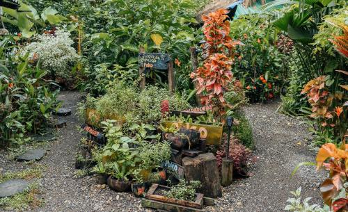 a garden filled with plants and flowers on a path at Poleo in Arusí