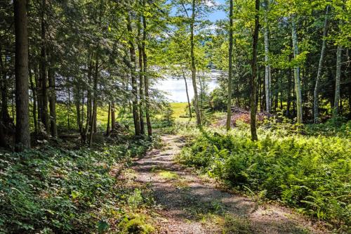 a dirt trail in the woods with trees at Lakefront Log Cabin on 2 acres in Washington