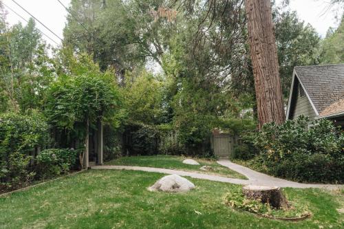 a garden with a tree and a sidewalk at Luxury House, Walk to Downtown or Pioneer Park in Nevada City